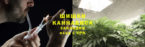 соль ск Богородск