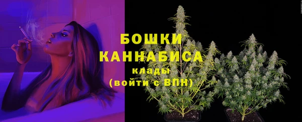 соль ск Богородск