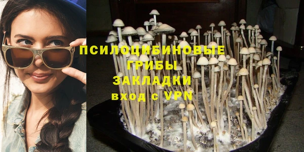 твердый Богородицк