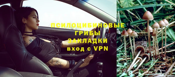 твердый Богородицк