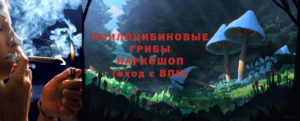 соль ск Богородск